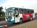 Alianza Cam Guadalajara Urviabus Of R-380