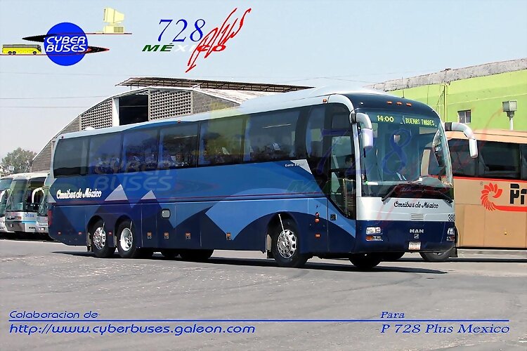 Omnibus De México Man Lion´s Coach  MÉXICO DF