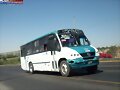 Alianza Cam Guadalajara MP Boxer  R-176