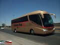 Primera Plus Irizar PB Confort GUADALAJARA