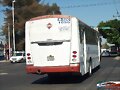 Transp Vanguardista de Guad Zafiro 1040  R 52-C