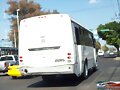 Movilidad Coorporativa Magno 930 SC 6  R-52