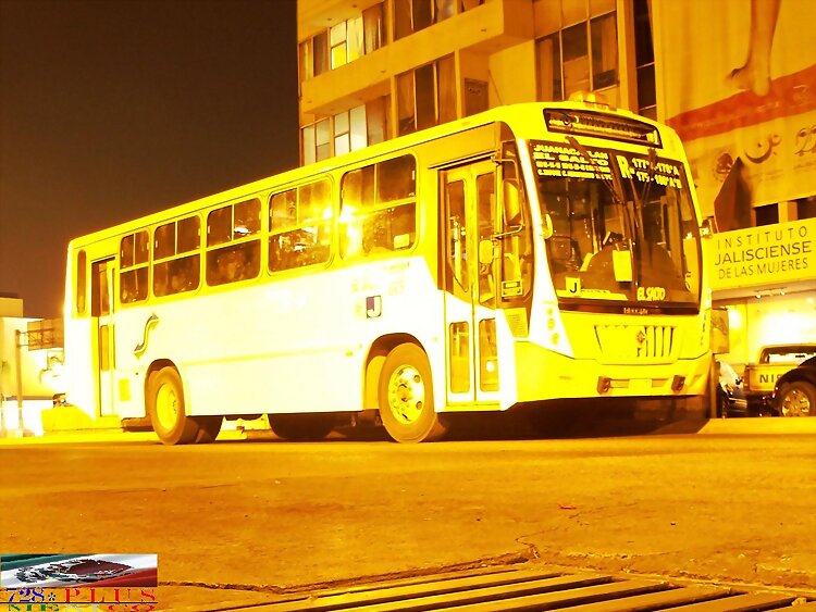 Búho Nocturno -El Salto- Urviabus Of Int Ruta  -J-
