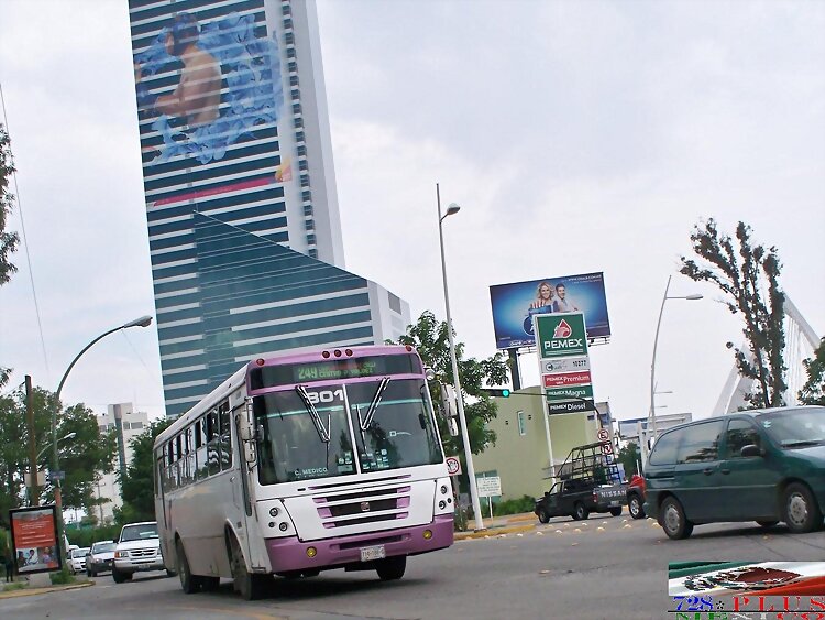 Transporte Vang De Jalisco Magno 1060 FE   R-249