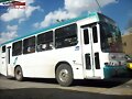 Alianza Cam Jalisco  MP Torino R-59