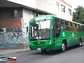 Sistecozome Urviabus Of  R 51-C