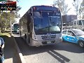Temsa Empresariales Urviabus Of GUADALAJARA