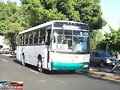 Autotransportes Guad-Tlajomulco MP Torino R-186