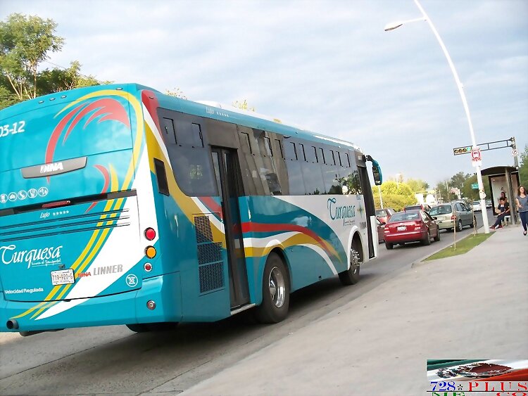 Línea Turquesa 1ra clase Dina Linner R-703