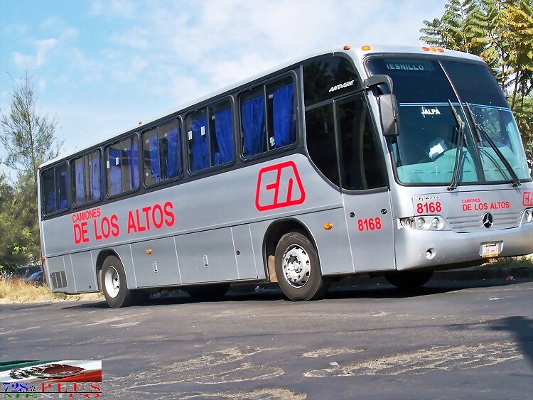 Rojo De Los Altos Andare NG GUADALAJARA