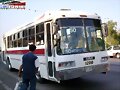 Alianza Cam Jalisco Magno MC2  R-50