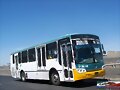 **Alianza De Camioneros De Guadalajara **