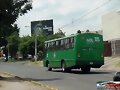 Sistecozome Urviabus Of  R 51-C