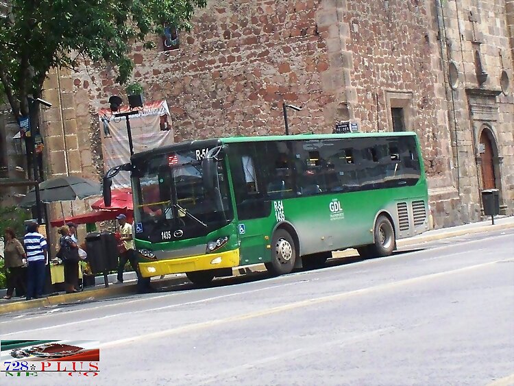 Alianza Cam Oro Wuzhoulong DISCAPACITADO R-54