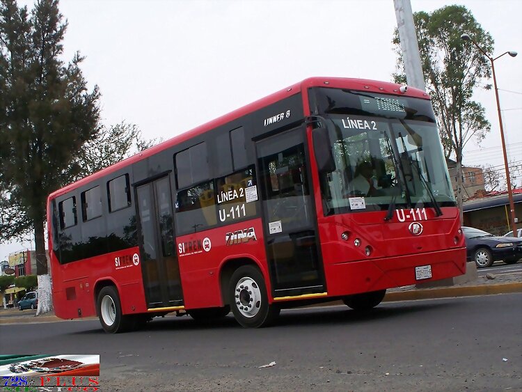 SITREN  Dina Linner 8  R -"Oriente"