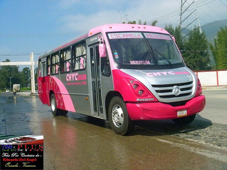 Chyc -Rosa- Nvo Boxer ORIZABA