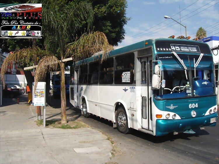 Alianza De Cam Jalisco MP Torino R-45 (panteón)