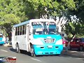 Sistecozome Subr Magno 930 SC 5 R-629 V&iacute;a-2