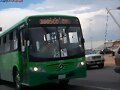&gt;&gt; RUTA  380 , PERMISIONARIOS&lt;&lt;