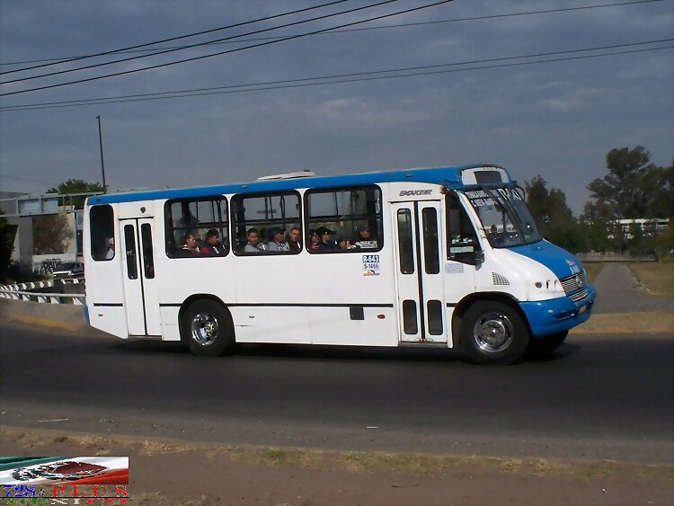 Sistecozome Subr MP Boxer R-643