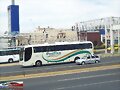 Transp Del Pac&iacute;fico Man Lions Mex GUADALAJARA