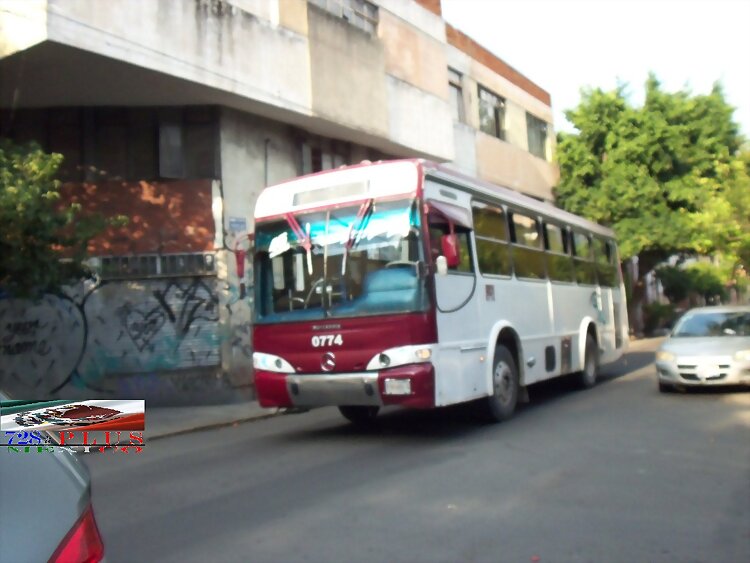 Alianza de Permisionarios MP Torino  R-45(panteón)