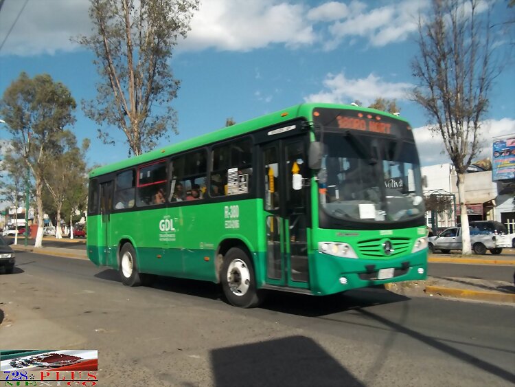 Alianza Cam Guadalajara  Boxer Of  R-380