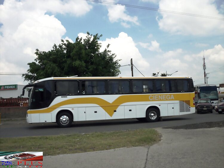 Ciénega Econo.  Beccar Fullton GUADALAJARA