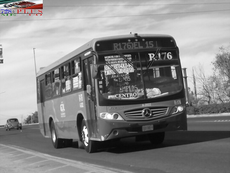 Alianza Cam Guadalajara Boxer Of  R-176