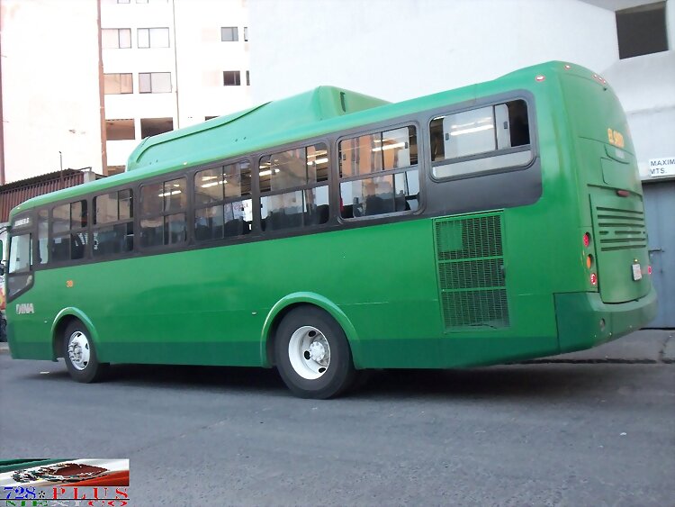 Autotransp Guad-El Salto Dina Linner G R-178