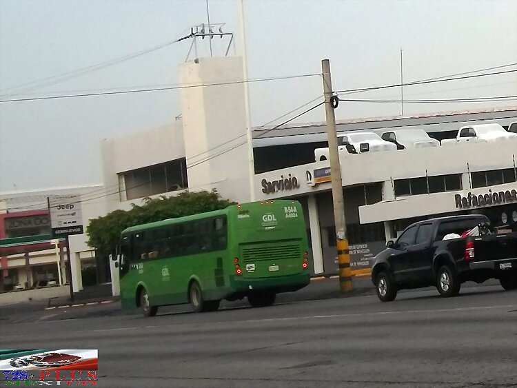 Alianza Cam Jalisco Dina Linner  R 54-A