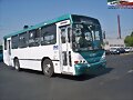 Alianza Cam Jalisco MP Torino  R 52-B