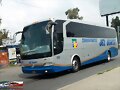 Transp Del Norte MP Multego GUADALAJARA