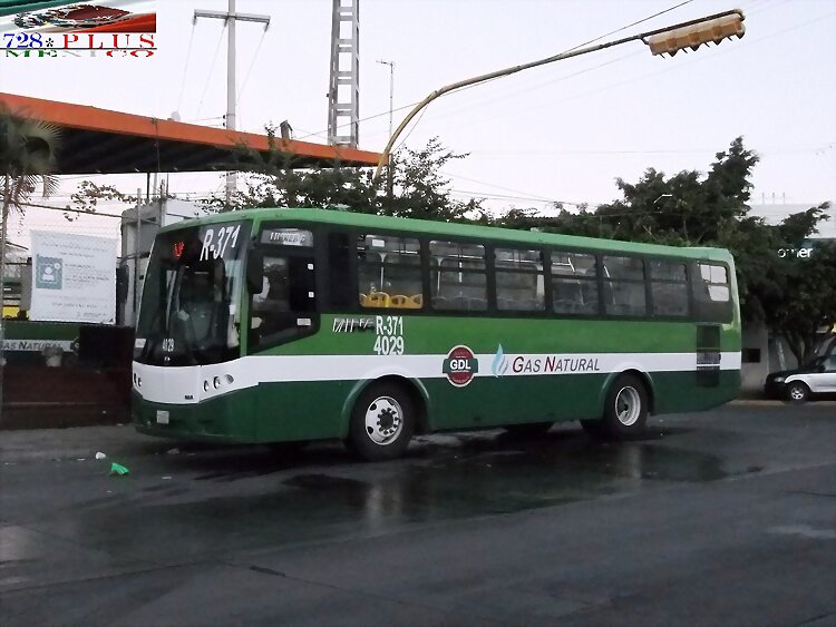 Servicios y Transportes Dina Linner-G. R-371