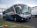 ODM Plus Paradisso 1200 G-7 GUADALAJARA