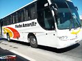 Flecha Amarilla MP Andare NG  GUADALAJARA