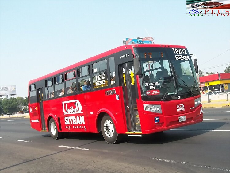 Sitran  Dina Linner G  R - T02