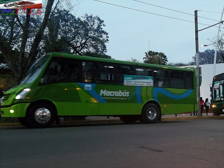 La Tapatía (Provisional) Macrobús Zafiro Sport