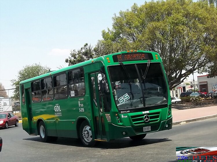 Sistecozome Subr Urviabus Of R-55