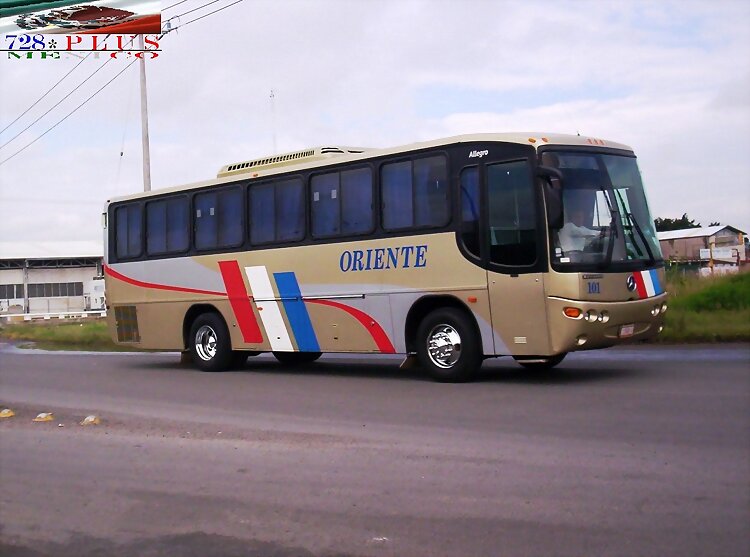 Platino Ordinario-Oriente-MP Allegro GUADALAJARA
