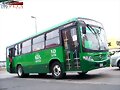 Sistecozome Subr Boxer Of  R-629