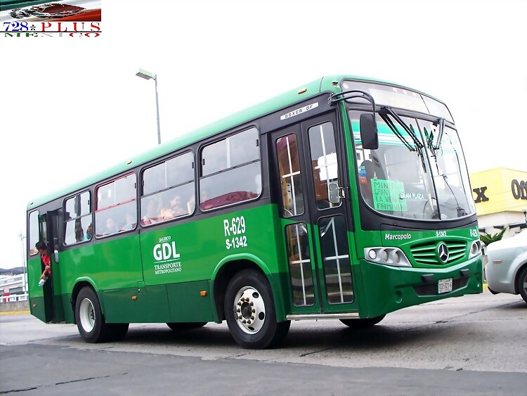 Sistecozome Subr Boxer Of  R-629