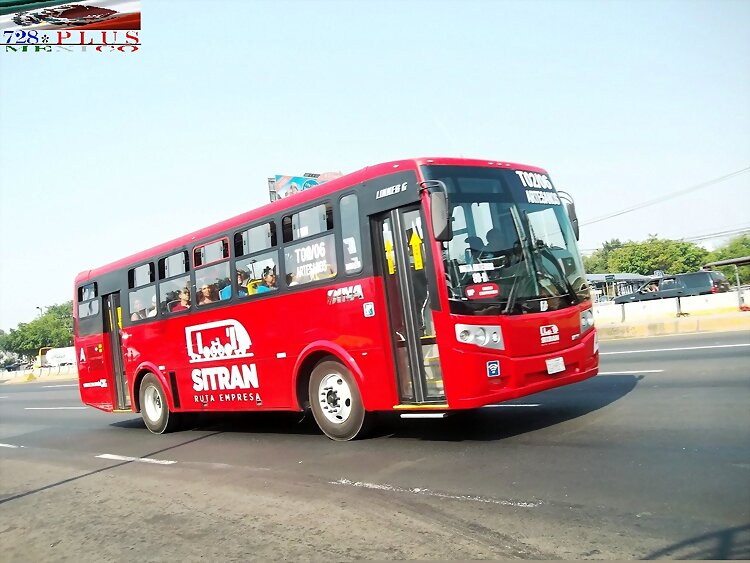 Sitran  Dina Linner G  R - T02