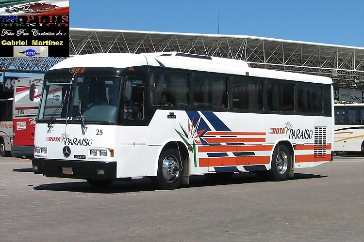 Ruta Paraíso Beccar Alce MORELIA