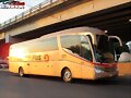 Primera Plus Irizar PB Confort GUADALAJARA