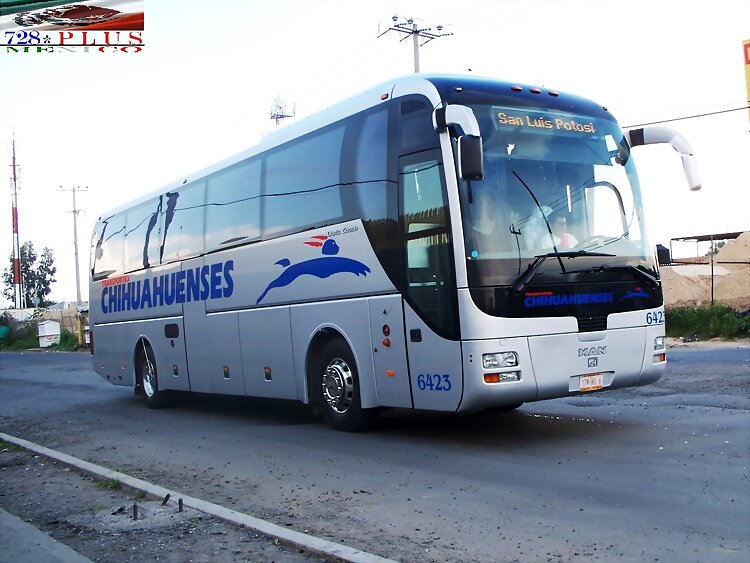 Transp Chihuahuenses Man Lions Coach GUADALAJARA