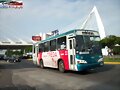Alianza Cam Jalisco MP Torino R 258-A