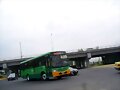 Sistecozome Subr Boxer Of DISCAPACITADO R 51-B