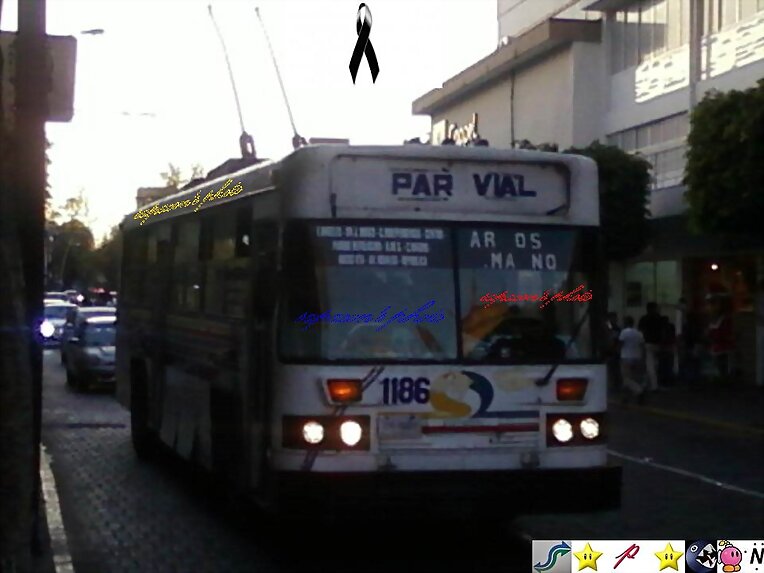 #se_fue_2015 masa somex 1984 ruta 400 1186