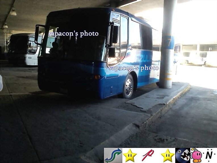 AZULES EL BUSS 320